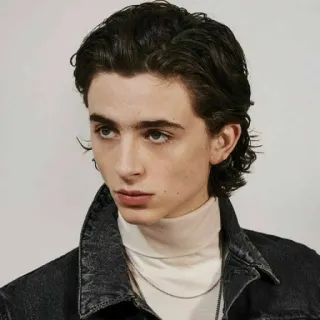 🦇 Timothée Chalamet actor, celebridad, retrato, hombre, guapo telegram sticker