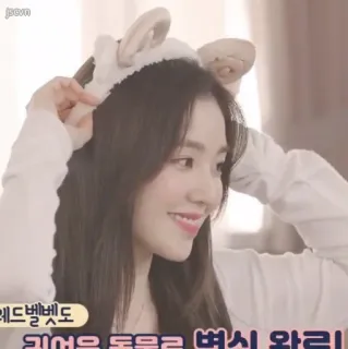 🧚‍♀ 레드벨벳도 귀여운 동물로 변신 완료! red velvet, cute, animal, transformation, girl, korean telegram sticker