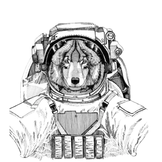 Animals in Space  @stickersb2b telegram stickers