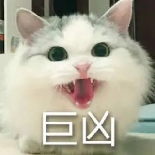 😡 巨凶 gato, meme, animal, lindo, gracioso, enojado telegram sticker
