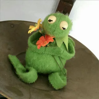 🐸 Kermit Kermit, o Sapo, Muppet, sapo, fantoche, flores, fofo whatsapp sticker