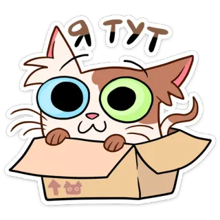📦 Я тут Katze, Karton, Cartoon, Sticker, Tier telegram sticker