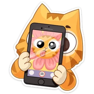 📱 chat, selfie, animal, dessin animé, téléphone, personnage telegram sticker