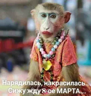 🫐больше тут➡️ @emojipipka telegram stickers