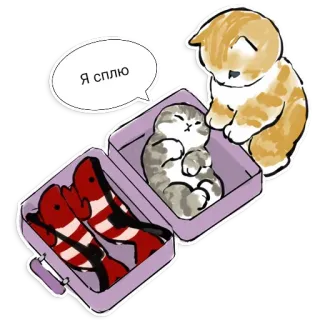 😴 Я сплю Katze, schlafend, Brotdose, Fisch, niedlich telegram sticker