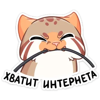 😡 ХВАТИТ ИНТЕРНЕТА gato, internet, divertido, meme, pegatina, dibujo animado, manul telegram sticker