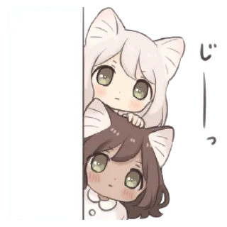 🍄 じーっ 动漫女孩, 猫耳朵, 偷看, 可爱, 卡哇伊 whatsapp sticker