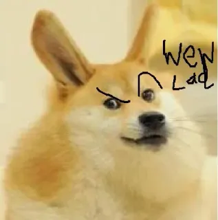 🤨 Wew Lad doge, hond, meme, wew lad telegram sticker
