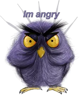 😡 Im angry โกรธ, นก, การ์ตูน, อารมณ์, นกฮูก, น่ารัก telegram sticker