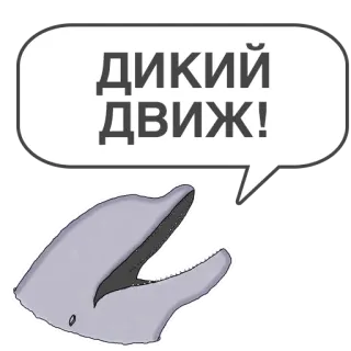🤪 ДИКИЙ ДВИЖ! delfín, bocadillo, salvaje, fiesta, animal whatsapp sticker