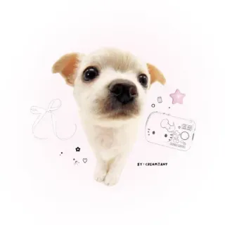 😳 BY : CREAMTART anjing, anak anjing, imut, hewan peliharaan, hewan telegram sticker