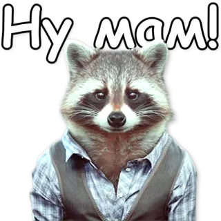 😳 Ну мам! raton laveur, mignon, animal, mammifère, russe, texte, mème telegram sticker