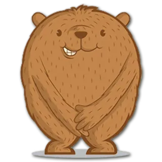 😬 곰, 동물, 만화, 스티커 telegram sticker