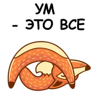 🐱 УМ - ЭТО ВСЕ lis, zwierzę, śpiący, rosyjski, tekst whatsapp sticker