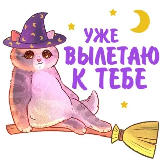 🧹 уже вылетаю к тебе Katze, Hexe, Besen, Sterne, Mond, fliegend, Gruß telegram sticker
