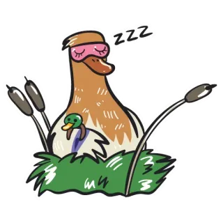 🥳 ZZZ pato, durmiendo, antifaz, animal, naturaleza, pájaro whatsapp sticker
