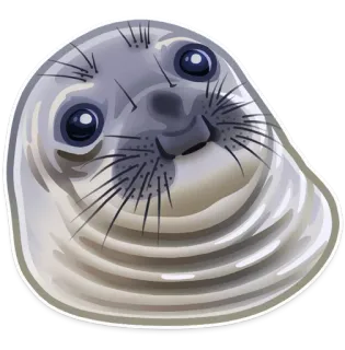 👀 물개, 동물, 귀여운, 해양 포유류, 야생 동물, 물 동물, 바다 telegram sticker