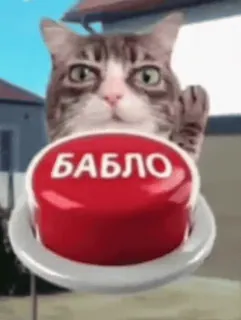 🌟 БАБЛО telegram sticker