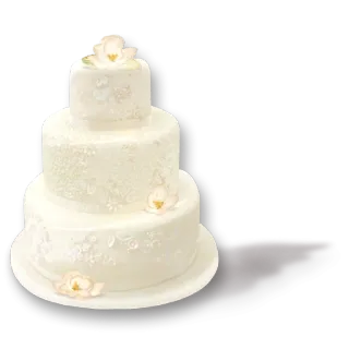 🎂 gâteau, mariage, dessert, pâtisserie, fête whatsapp sticker