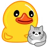 🐱