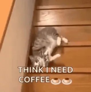 😘 THINK I NEED COFFEE gato, café, escadas, cansado, meme, engraçado telegram sticker