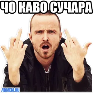 Memasi @Stickerssuck whatsapp stickers
