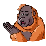 👏 Orangutan, Binatang, Monyet, Kera, Gestur, Bingung whatsapp sticker