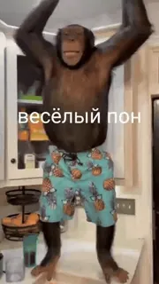 🌟 весёлый пон scimmia, ballando, divertente, animale, pantaloncini telegram sticker