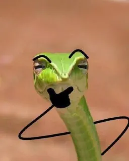 🎋 Schlange, grüne Schlange, Tier, lustig, Cartoon, Reptil telegram sticker