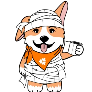 🚽 cane, corgi, mummia, carta igienica, bende, cartone animato telegram sticker