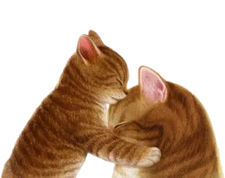 😘 고양이, 새끼 고양이, 동물, 우정, 애정, 귀여운 telegram sticker