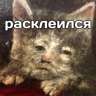 🥴 расклеился cat, meme, russian, funny, sad telegram sticker