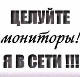😔 ЦЕЛУЙТЕ мониторы! Я В СЕТИ !!! monitor, en línea, ruso, internet, humor telegram sticker