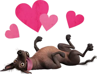 COCO :: @line_stickers whatsapp stickers