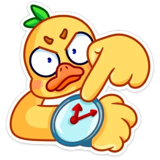 😠 pato, desenho animado, zangado, tempo, relógio, esperando telegram sticker