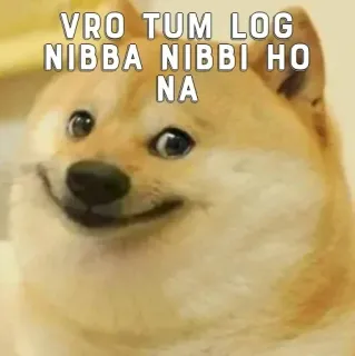 🥴 Doge Doge meme VRO TUM LOG NIBBA NIBBI HO NA doge, meme, funny, internet culture, ironic, indian meme telegram sticker