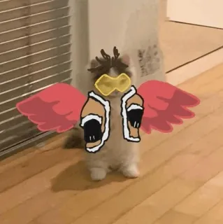 🐈 gato, asas, óculos, anime, fofo, desenho animado, animal de estimação, animal telegram sticker