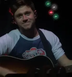 🎸 Niall Horan músico, cantor, guitarra, homem, pessoa, artista telegram sticker