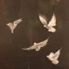 🕊️