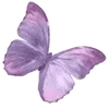 🦋