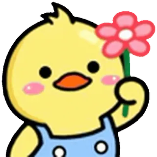 🌺