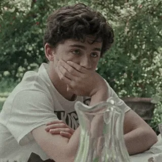 🙃 Timothée Chalamet Тимоти Шаламе, актер, знаменитость, портрет, мужчина, мужской whatsapp sticker