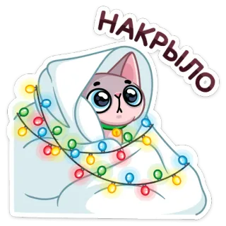 😳 НАКРЫЛО cat, blanket, lights, cute, cartoon, animal, winter telegram sticker