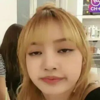 🦋 Lisa mujer, persona, cantante, kpop, ídolo, lisa telegram sticker