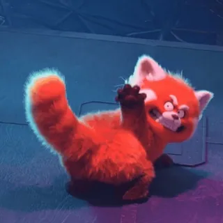 🥴 красная панда, животное, милый, мультяшный, пушистый, наклейка telegram sticker
