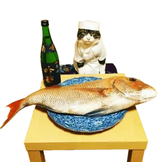 🥢 fish, cat, chef, food, cooking, seafood, still life, table telegram sticker