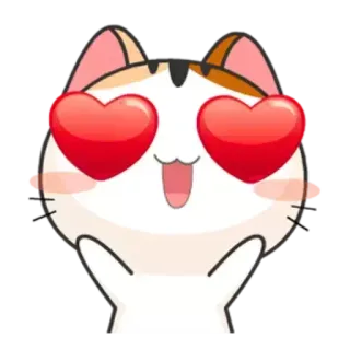 😍 gatto, adesivo, amore, occhi a cuore, carino, emoji telegram sticker