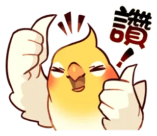 👍 讚 นกค็อกกาเทล, นก, ยกนิ้วโป้ง, อนุมัติ, น่ารัก, บวก, อิโมจิ telegram sticker