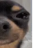 😂