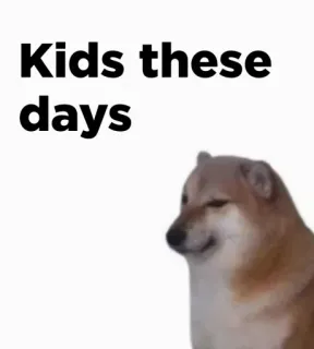 🎭 Kids these days 밈, 도지, 개, 아이, 유머 telegram sticker